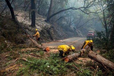 Cal Fire clearing road