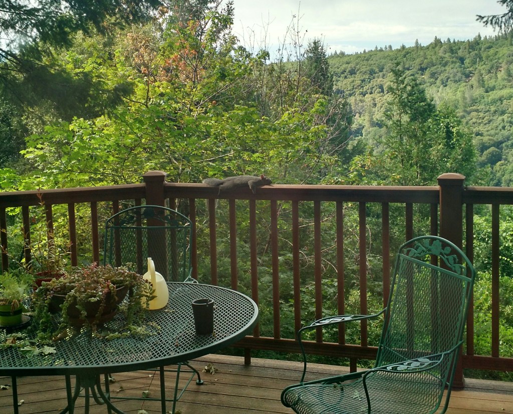 Davis' view from before the Camp fire ...