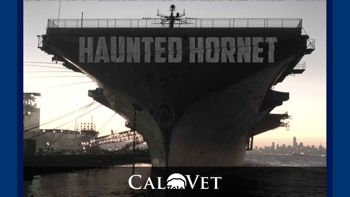 Haunted Hornet