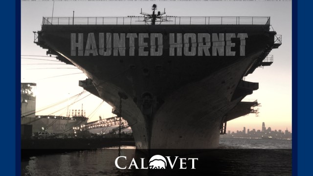 Haunted Hornet