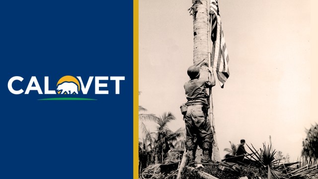 A soldier raising the American flag.