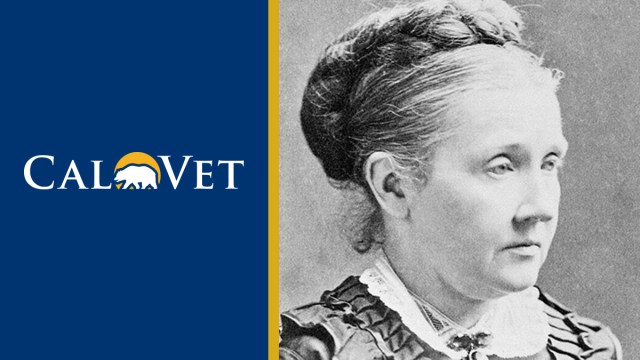 Julia Ward Howe wrote the Battle Hymn of the Republic.