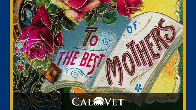 Mother'sDay, Old Style Card. The Best of Mothers