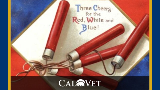 Vintage postcard from the 4th of July, firecrackers.