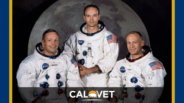 Neil Armstrong, Michael Collins, and Buzz Aldrin photographed in spacesuits with moon backdrop.