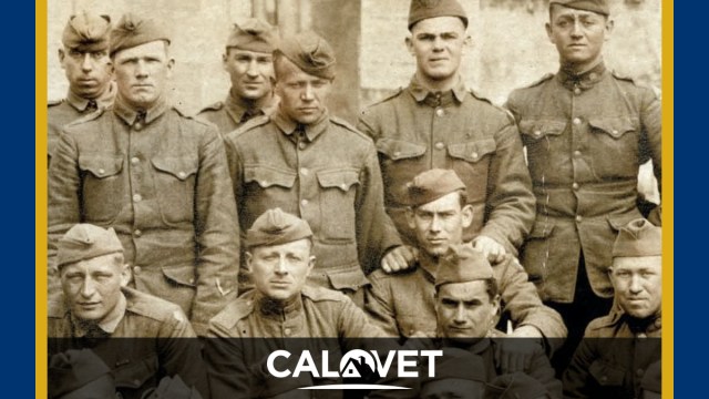 U.S. Army battalion during WWI.
