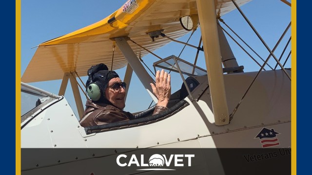 Man in cockpit of WWII Bi-plane.