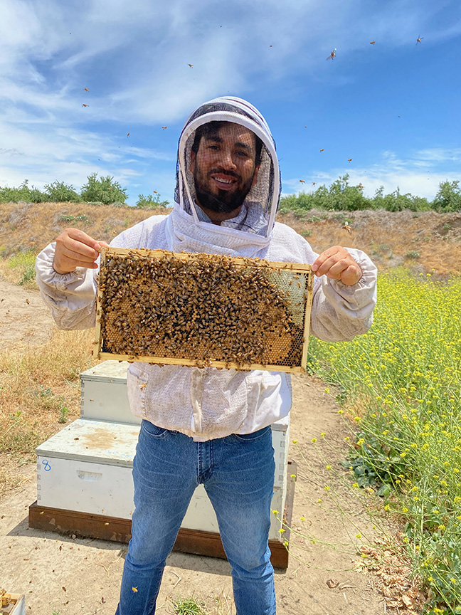 Jesus displaying a portion of bee colony.