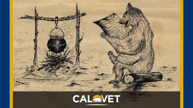 An illustration, pen on paper, of a bear sitting on a log near a campfire reading the headlines CA admitted into the union.