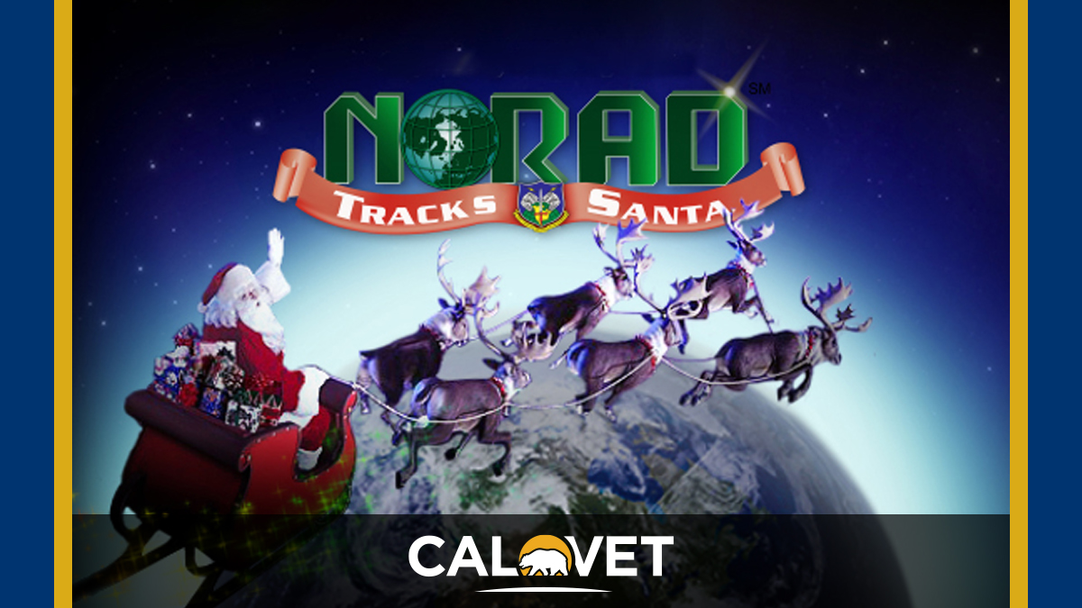 Santa flying on his sleigh with the world small like a blue marble in the background.