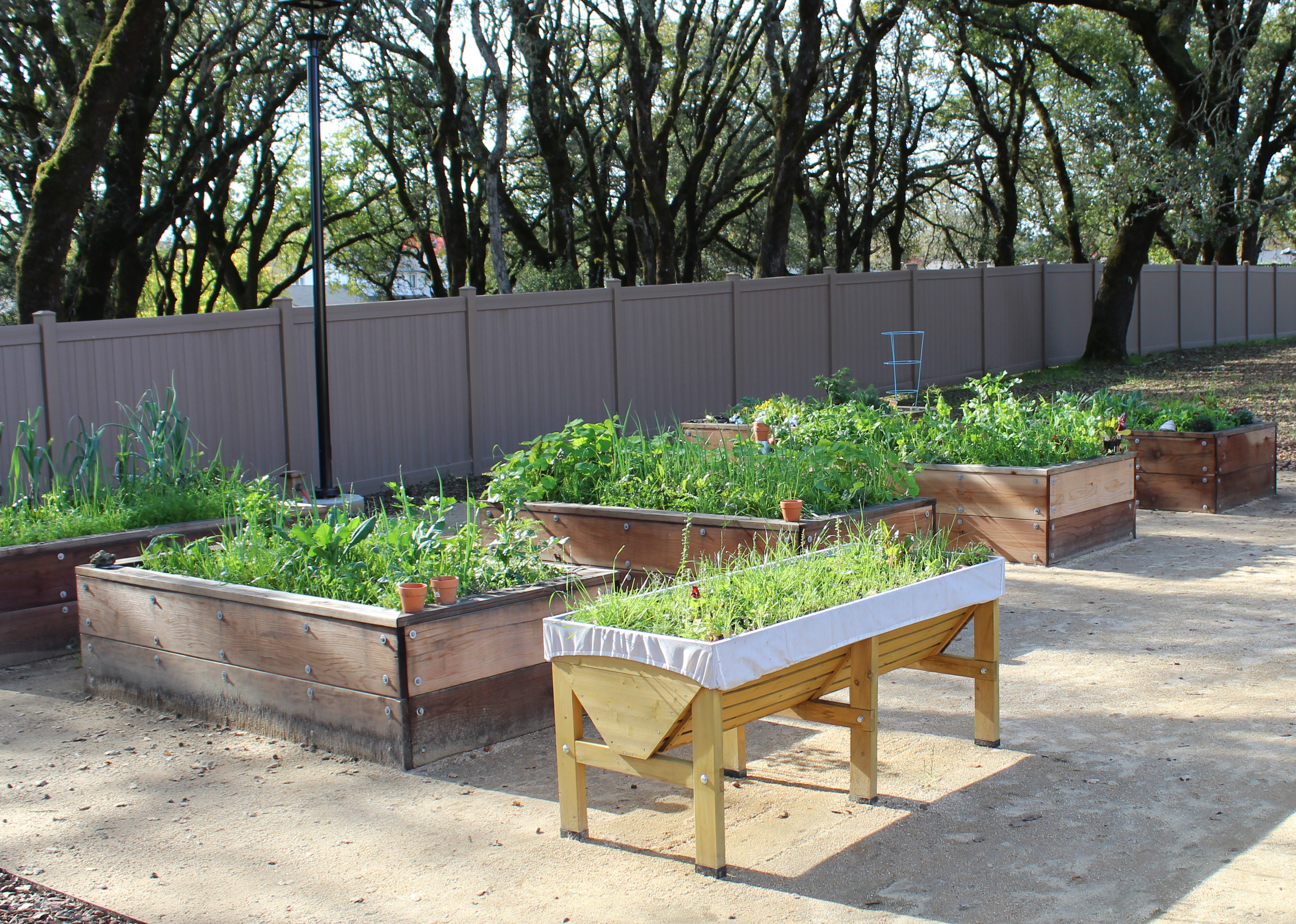 Raised beds for the community garden.