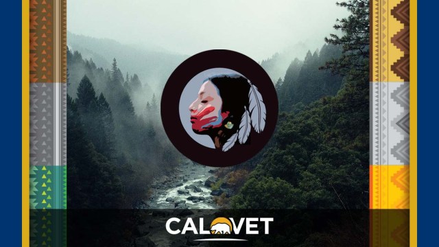 PHoto of a northern California stream running through high mountain with a Native American face in the center of the space.