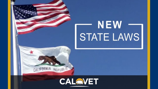 American flag and California State flag against a blue background with text, "New State Laws."