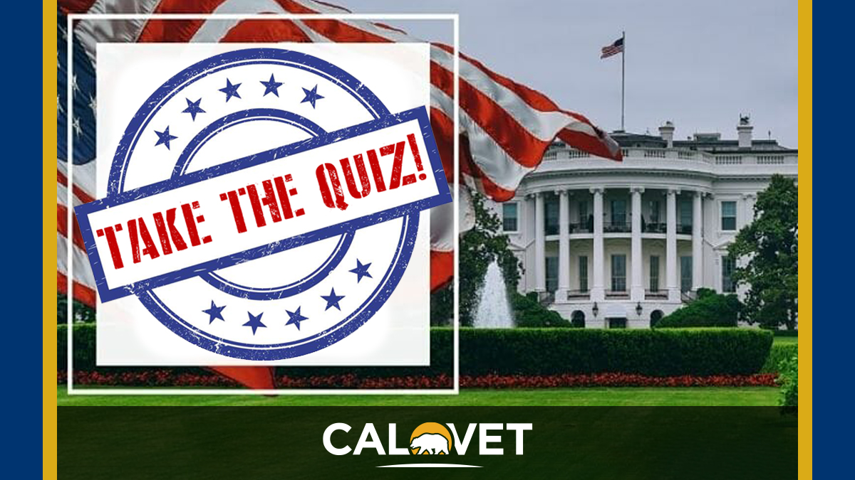 Picture of the US Capitol building with the words "take the quiz" written in a blue circle.