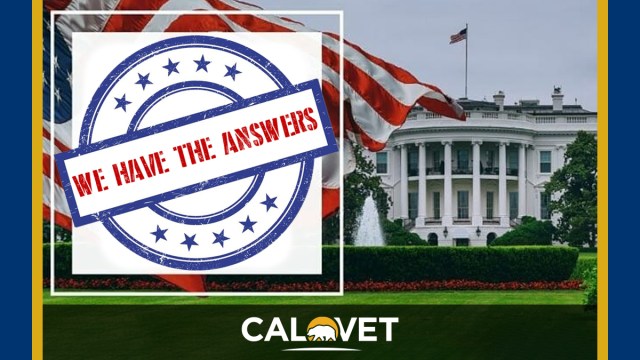 Picture of the US Capitol building with the words "we have the answers" written in a blue circle.