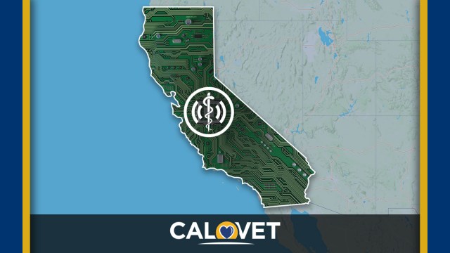 Electronic prescription system implemented through California Veterans Homes before January 1, 2022 deadline.