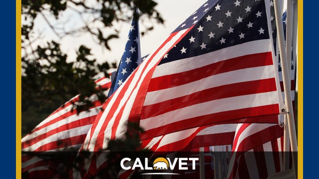 American flags blowing in the breeze.