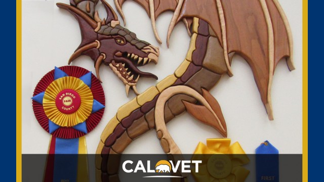 Guardian Dragon is Best in Show at San Diego County Fair