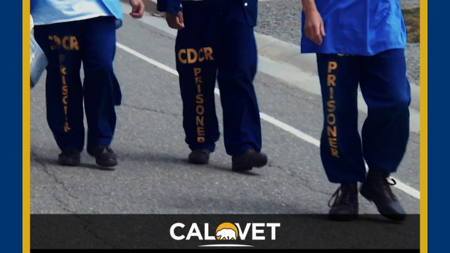 CDCR prisoners walk down a road.