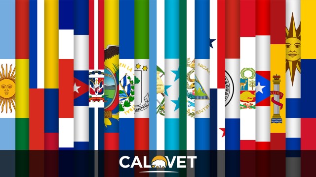 CalVet logo and flags from Hispanic nations