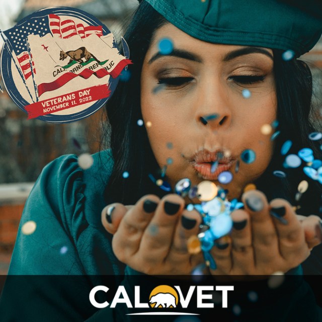 VETERANS DAY IN THE BOOKS? AT CALVET, EVERY DAY IS A NEW PAGE WHEN IT ...