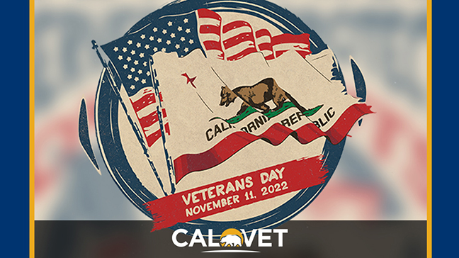 The American and Californian flags.