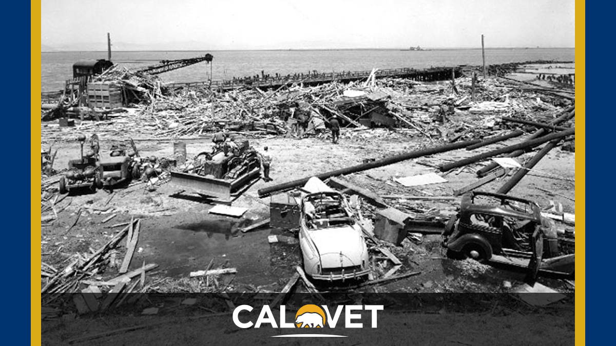 Some of the destruction after the 1944 Port Chicago explosion.