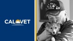 Graphic with CalVet logo and image of man wearing veterans ballcap holding small dog.