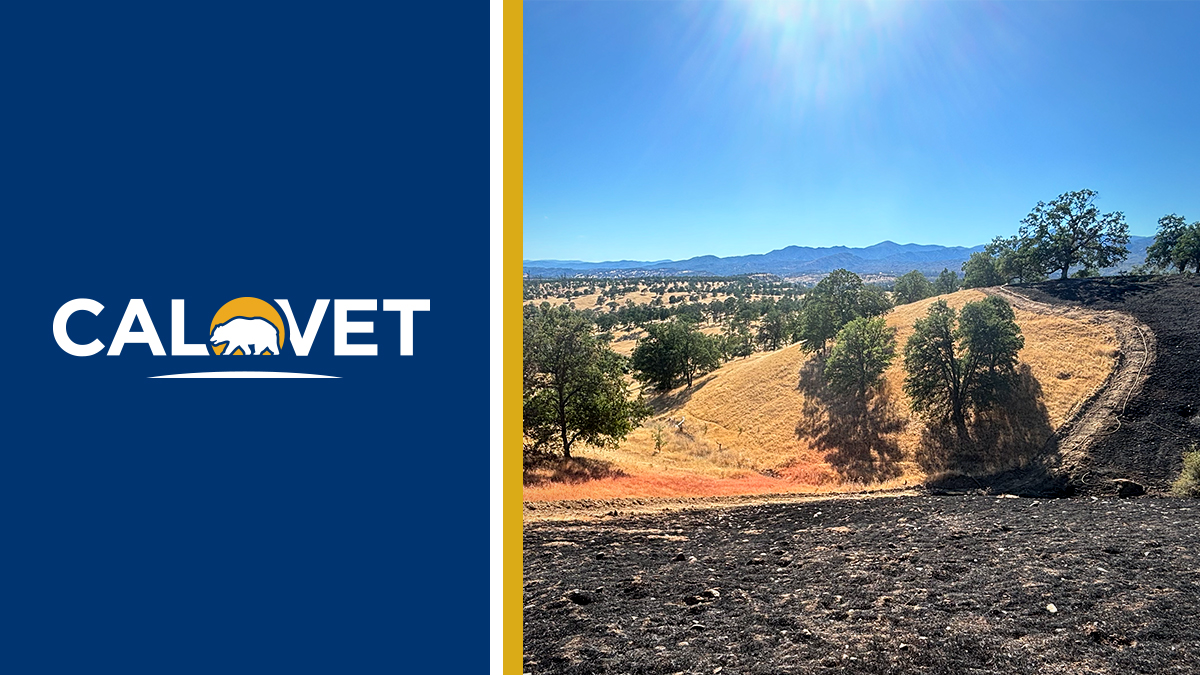 Graphic with CalVet logo and image of field that is partly burned.